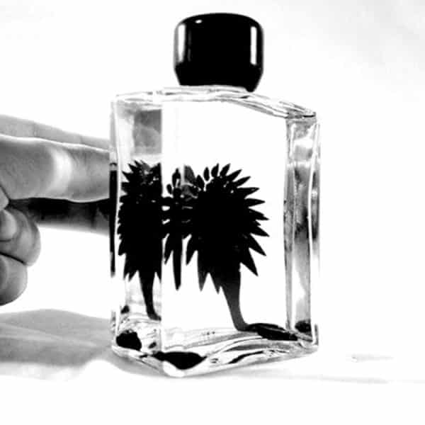 Kit ferrofluid - anti-stress